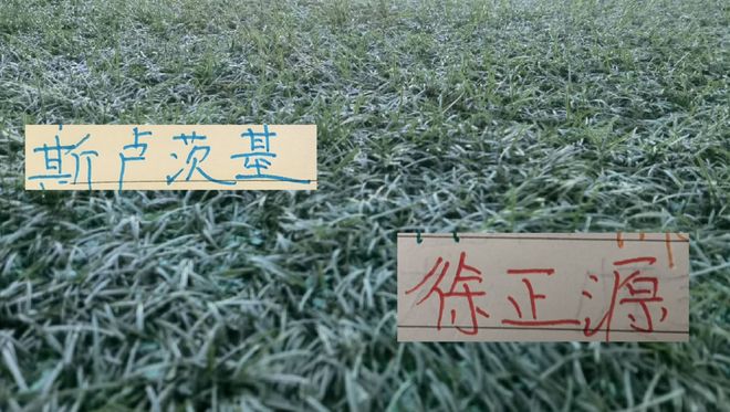 官宣!德国名将连续四年入围年终