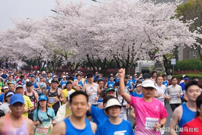 泰山队五外援出征上海,本土两名主力复出,王大雷因伤缺席