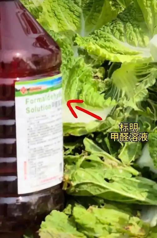 哈佛研究发现:3种颜色是“抑郁色”,若孩子喜欢,家长需谨慎